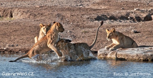 Foto: &copy; Jan Březina