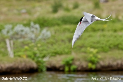 Foto: &copy; Jan Březina