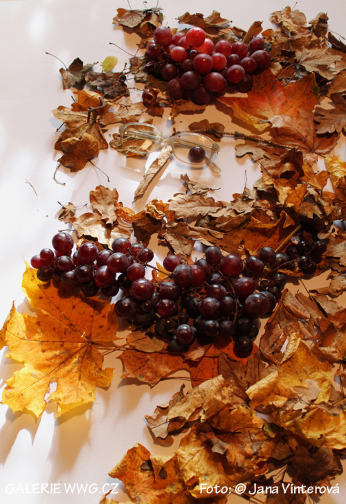 Foto: © Jana Vinterová Foto: © Jana Vinterová