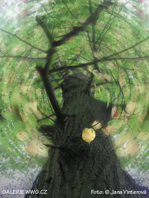 Foto: © Jana Vinterová Foto: © Jana Vinterová