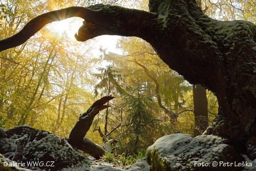 Když cvakne spoušť - Foto: &copy; Petr Leška - Srdeční záležitost