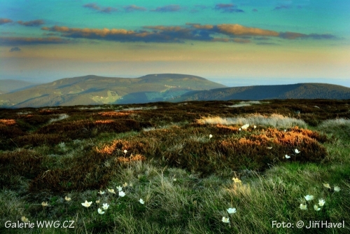 Galerie WWG.CZ vystavuje - VII - Foto: &copy; Jiří Havel