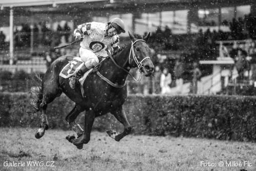 Foto: &copy; Miloš Fic