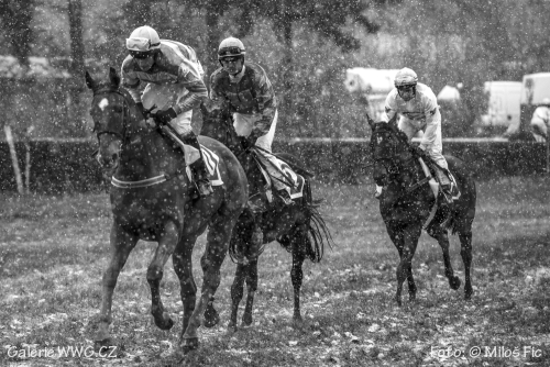 Foto: &copy; Miloš Fic