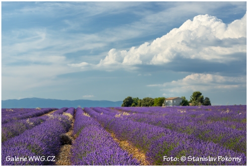 Foto: © Stanislav Pokorný Foto: © Stanislav Pokorný