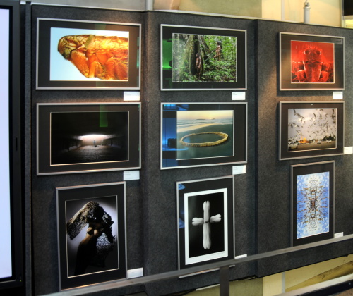 Galerie WWG.CZ vystavuje X - BEST OF