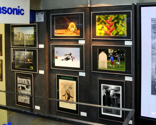 Galerie WWG.CZ vystavuje X - BEST OF