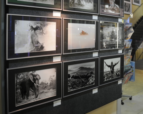 Galerie WWG.CZ vystavuje X - BEST OF