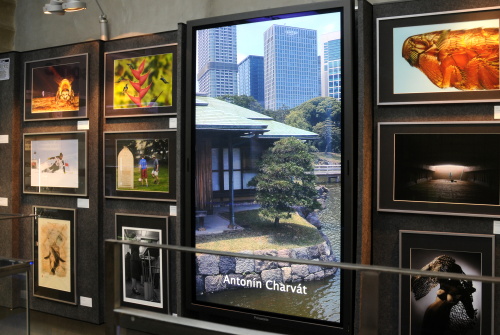 Galerie WWG.CZ vystavuje X - BEST OF