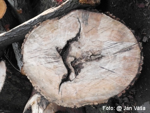 Foto: &copy; Jan Váša