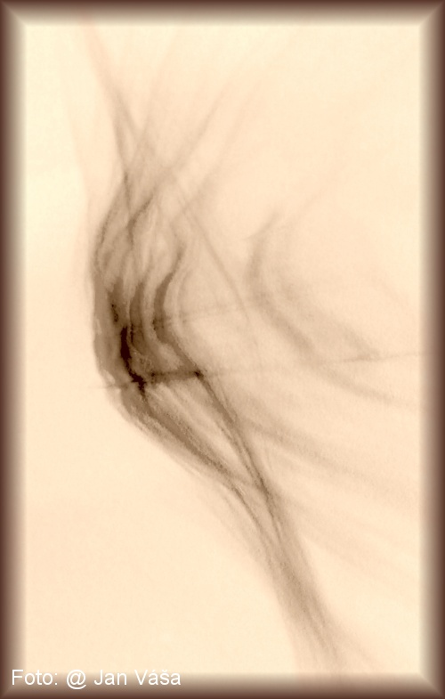 Foto: &copy; Jan Váša