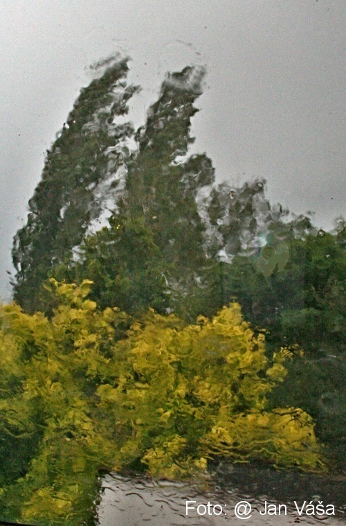 Foto: &copy; Jan Váša