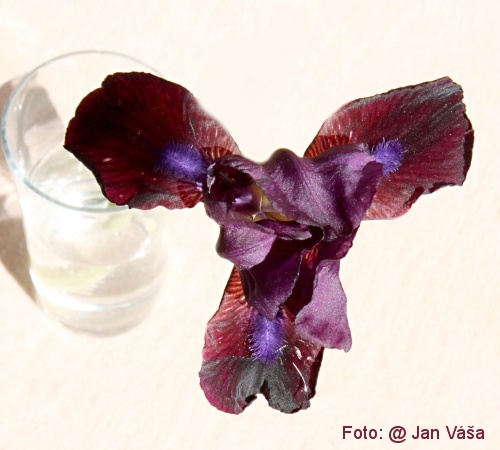 Foto: &copy; Jan Váša