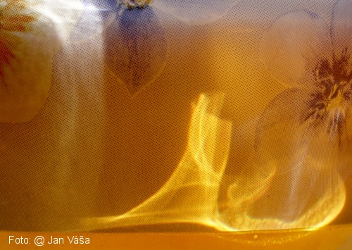 Foto: &copy; Jan Váša