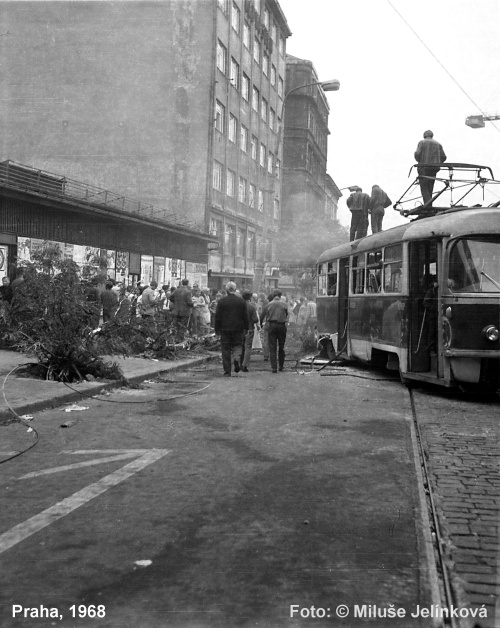 Foto: &copy; Miluše Jelínková - Na Vinohradské třídě pod Československým rozhlasem.