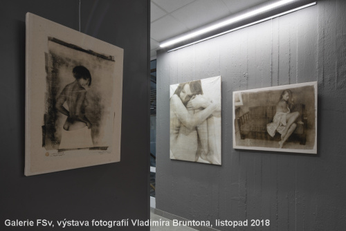 Vladimír Brunton v Galerii FSv - říjen - prosinec 2018