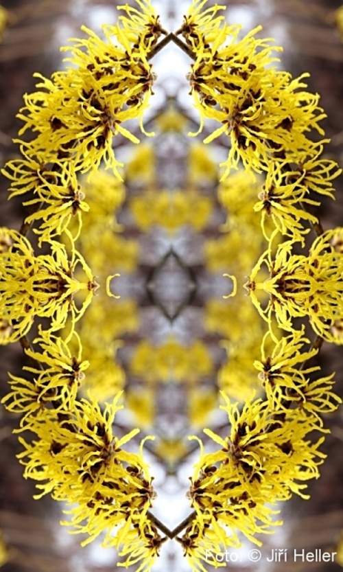 Jiří Heller - KVADRÁLY.CZ - Galerie Konvent MIKULOV 2019