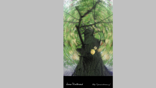 Foto: &copy; Jana Vinterová