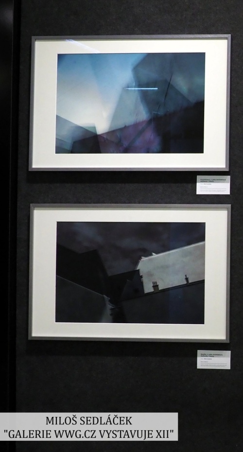 GALERIE WWG.CZ - XII - MILOŠ SEDLÁČEK