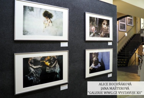 Galerie WWG.CZ vystavuje XII - Alice Bochňáková