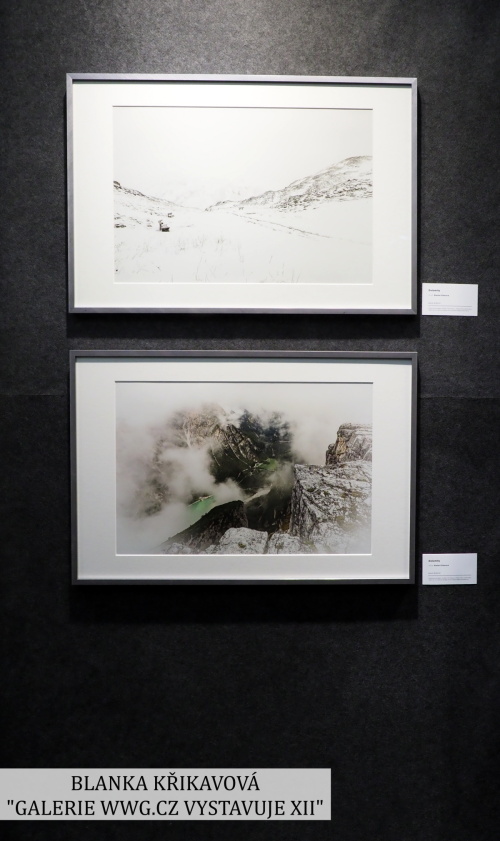 GALERIE WWG-CZ XII - BLANKA KŘIKAVOVÁ