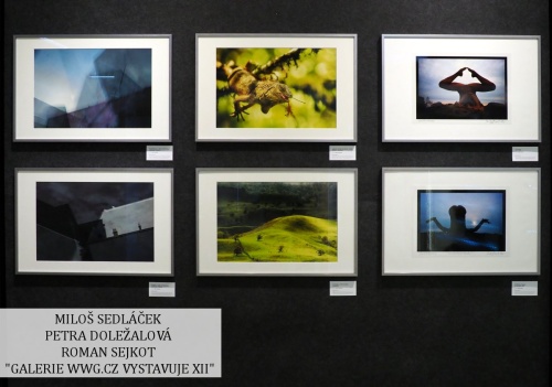 Galerie WWG.CZ XII - Miloš Sedláček, Petra Doležalová, Roman Sejkot