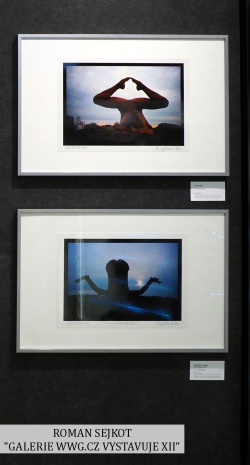 GALERIE WWG.CZ - XII - ROMAN SEJKOT