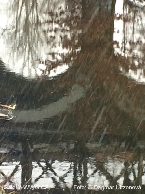 Foto: © Dagmar Ultzenová Foto: © Dagmar Ultzenová