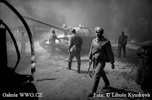 Galerie WWG.CZ - Výstava 