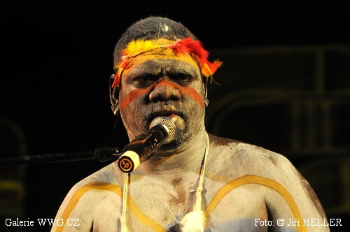 Didjinoz 09 - Didgeridoo festival Forlimpopoli . Syn Djalua
