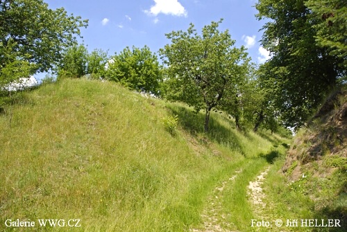Foto: © Jiří Heller - Cesta 