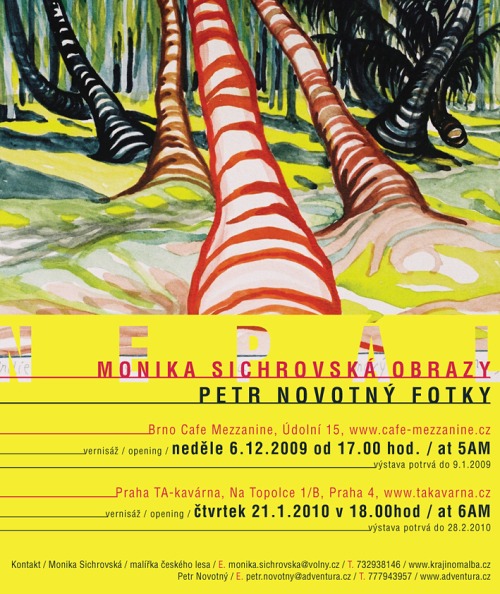 Monika Sichrovská - Obrazy, Petr Novotný - Fotografie