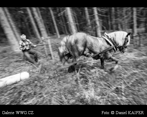 Foto: © Daniel Kaifer Foto: © Daniel Kaifer