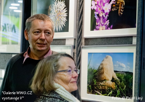 Galerie WWG.CZ vystavuje V - Foto: © Pavel Lisý