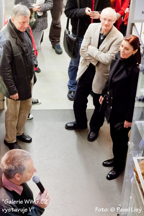 Galerie WWG.CZ vystavuje V - Foto: © Pavel Lisý
