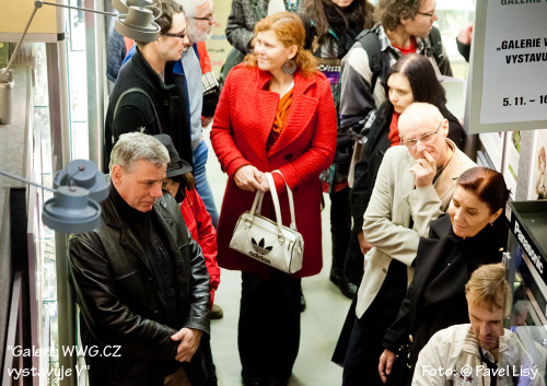 Galerie WWG.CZ vystavuje V - Foto: © Pavel Lisý