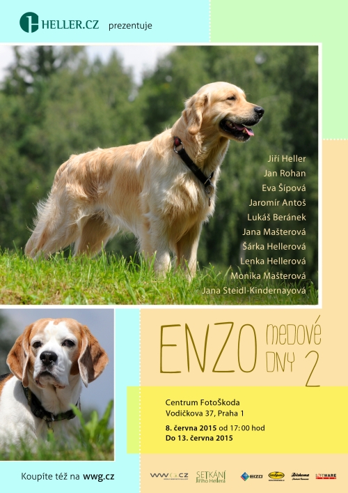 ENZO Medové dny 2015 - druhá kolektivní výstava v CFŠ