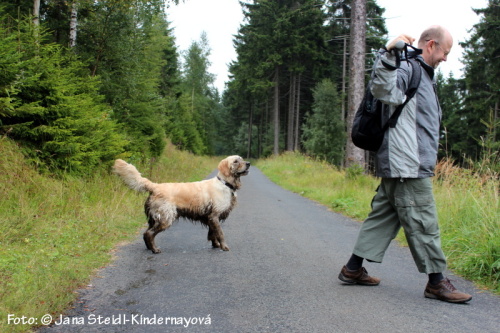 ENZO Medové dny 2015 Foto: © Jana Steidl-Kindernayová