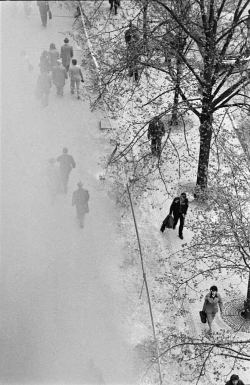 Foto: © Libuše Jarcovjáková