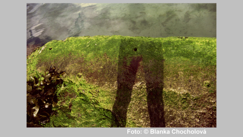 Foto: © Alice Bochňáková