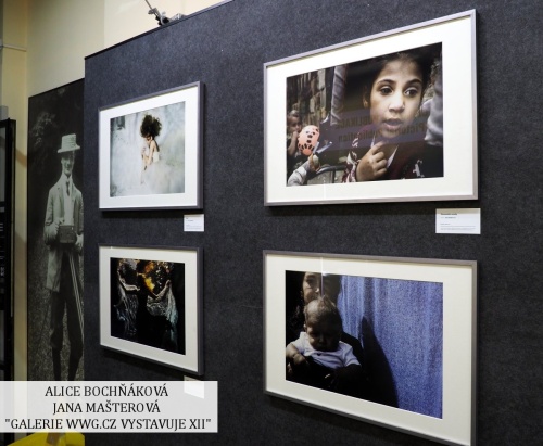 Galerie WWG.CZ XII - Jana Mašterová
