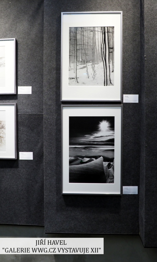Galerie WWG.CZ XII - Jiří Havel