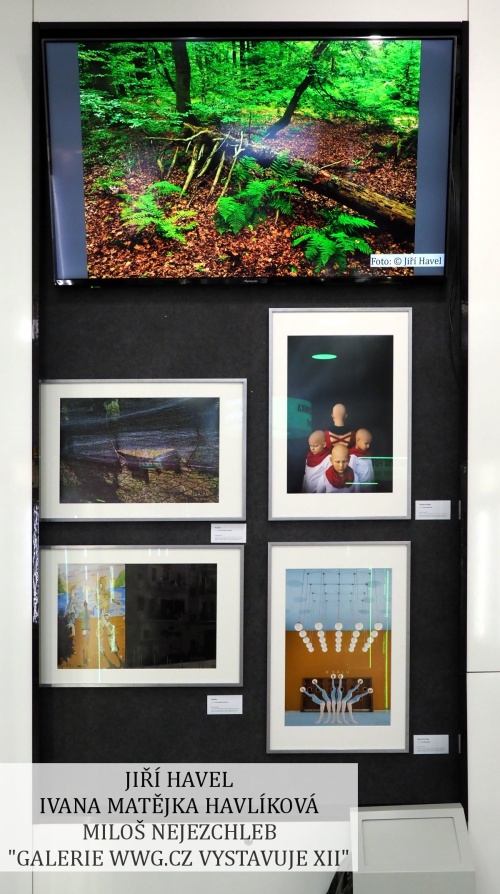 Galerie WWG.CZ XII - Jiří Havel, Ivana Matějka Havlíková, Miloš Nejezchleb
