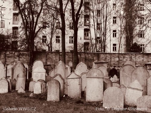 Foto: © Dagmar Ultzenová